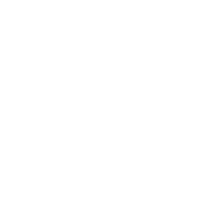 size-icon